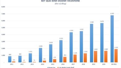 Vicostone (VCS) dự chi 320 tỷ đồng tạm ứng cổ tức năm 2021